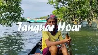 Tanguar Hawor Sylhet/bondhe maya lagaiche piriti sikhaise. টাংগুয়ার হাওর।