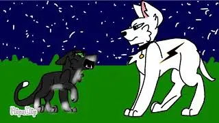 MITTES AND BOLT