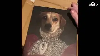 [Uzualy] Personalized Renaissance Pet Portrait Canvas Wrap Unboxing Video