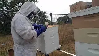 20 cent Hive Ventilation Solution