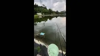 Beautiful Girl Stream Fishing｜美女溪流挑战大鱼 2025-10-08 15:10:10