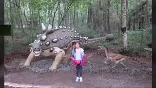 Łeba Dino Park