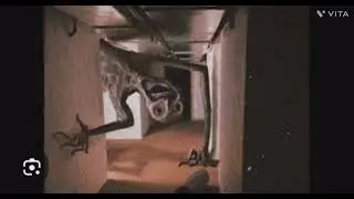 Cursed images with classic roblox horror music