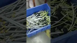 How are custom wiring harnesses made and shaped?#custom #wireharness #made #wire #cable #factory
