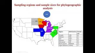 USPOULTRY Funded Research on the Pathogenicity and Genetic Profile of Turkey Hepatitis Reovirus