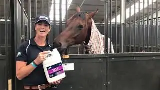 EO-3 for Horse Health in Smoky Conditions