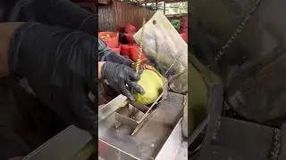 Coconut Cutting Skill - Fruits Cutting Skill