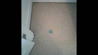 Carpet Repair- Berber Carpet Repair- Virginia