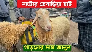 গাড়ল নাটোর তেবাড়িয়া হাটৈ 
