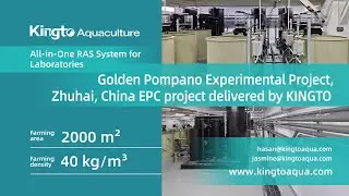Kingto Intelligent RAS provides innovative technological support for the modernization of fisheries!