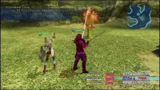 Final Fantasy XII: The Zodiac Age - Level 99 Red Chocobo