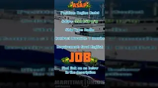 Engine Cadet with salary 550 USD for Ro-Ro Vessel |Maritime Union #Shorts