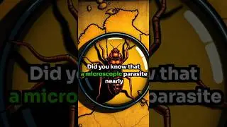 The Deadly Parasite That Almost Stopped Australia's Greatest Railway | Engineering vs Disease