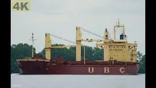 UBC TAMPA - Shipspotting Germany 🇩🇪 IMO 9416707 - River Weser near City Brake Unterweser - 4K VIDEO