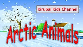 Arctic Animals - Part 1 / Kirubai Kids / Arctic Animals / Polar Animals /Snow animals/Winter Animals