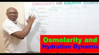 Динамика осмолярности и гидратации &ndash; Лекция 9
