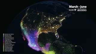Spring Bird Migration Data Visualization (Cornell Lab of Ornithology) [audio described]