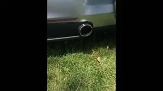 At Ferrari / Italian car show was a crazy start up of all the cars
