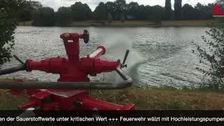 Fischsterben im Aasee M&uuml;nster | ALLES M&Uuml;NSTER
