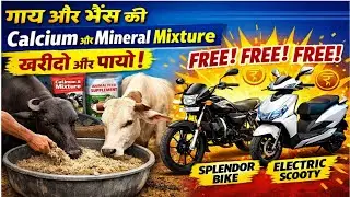 🔥 गाय भैंस की Calcium & Mineral Mixture खरीदो 😲🎁 FREE में Splendor Bike या Electric Scooty पाओ!| 