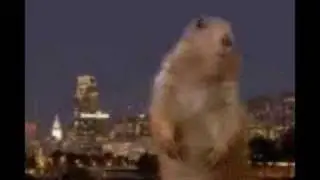 Dramatic Prairie Dog #2