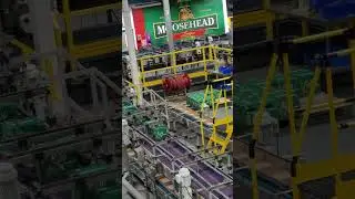 🍻  Moosehead Brewery Tour 🍻 Canada's oldest independent Brewery ~ 1867 🍻 ❤️ 🍻 Saint John NB  🇨🇦