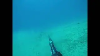 First Weke Nono (41 ft)