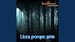 El Ropavejero