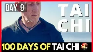 Where Do the Eyes LOOK in Tai Chi? | 100 Days of Tai Chi | Learn Tai Chi at Home