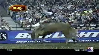 Dustin Hall vs Dirty White Bull - 02 PBR Worcester (88.5 pts)