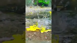 #Best rain status 🌧️#Love status &hearts;️