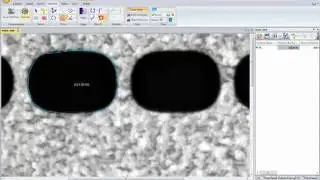 Automatically trace objects using Image-Pro Insight software