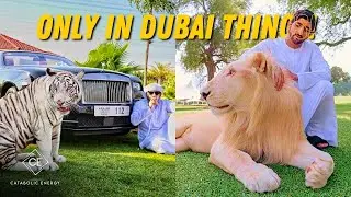 15 Fascinating Things That Make Dubai Unique | Catabolic Energy