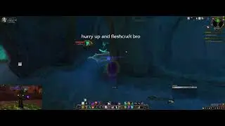 Trying to get plaguefall mount as spriest WoW 9.2.7