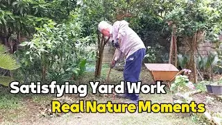 Transforming a Messy Garden with Cycad Trees | So Satisfying!