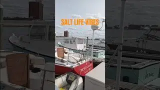 SALT LIFE VIBES/COMEDY/BOSTON HAHBAH