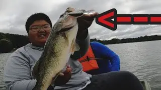 Deep cranking summer time largemouth bass