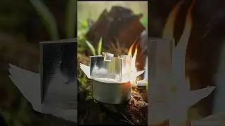 survival in the forest, make tea shorts, bushcraft, youtube