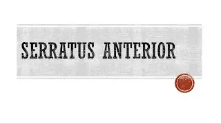 Serratus Anterior Functional Anatomy