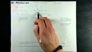 E1 Reaction Mechanism
