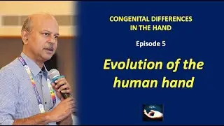 Congenital hand differences: Episode 5 - Evolution of the human hand