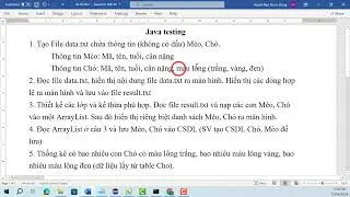 Java testing on Console