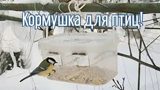 Почему я Раньше до этого не додумался, Как сделать Кормушку для птиц за 5 минут!