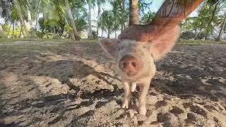 Hirifa, Fakarava