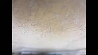 [チョッパ装置直上]　201系　モハ車走行音(関西本線/河内堅上－高井田間)