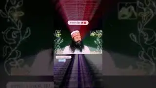 MSG sat satng