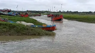 সৌলা সমুদ্র সৈকতে বিভিন্ন রকম মাছের পাইকারি।