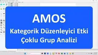 AMOS ile &Ccedil;oklu Grup Analizi (Multi Group Analysis)