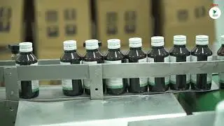 Herbal Plant Syrup Manufacturing