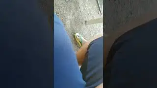 25 de outubro de 2024